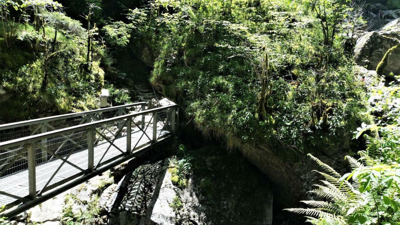 Le Gite Des Mousquetaires Lanne-en-Baretous Bagian luar foto