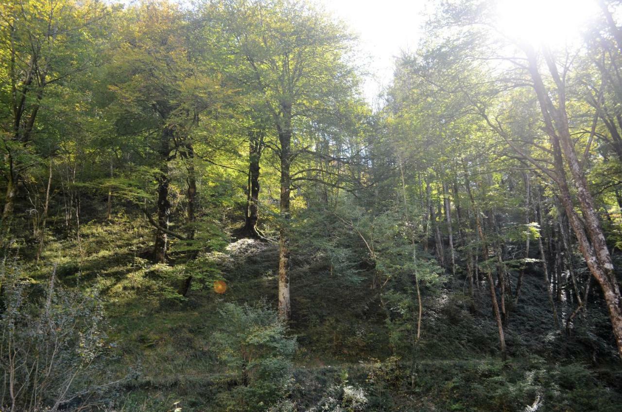 Le Gite Des Mousquetaires Lanne-en-Baretous Bagian luar foto