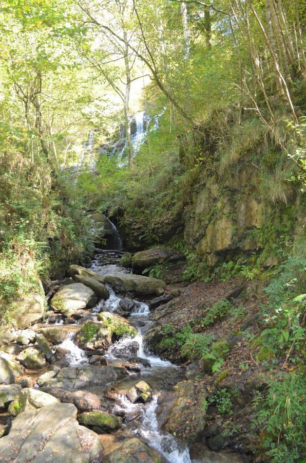 Le Gite Des Mousquetaires Lanne-en-Baretous Bagian luar foto