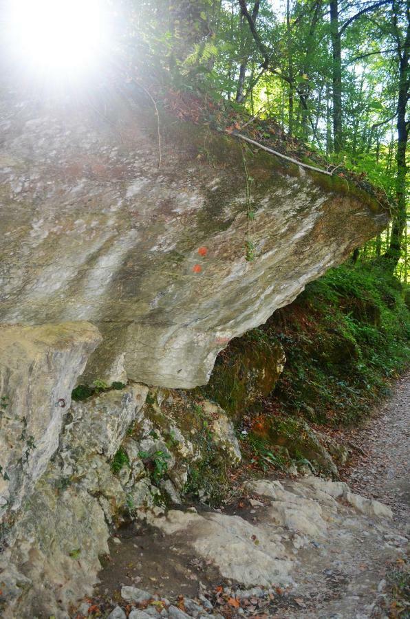 Le Gite Des Mousquetaires Lanne-en-Baretous Bagian luar foto